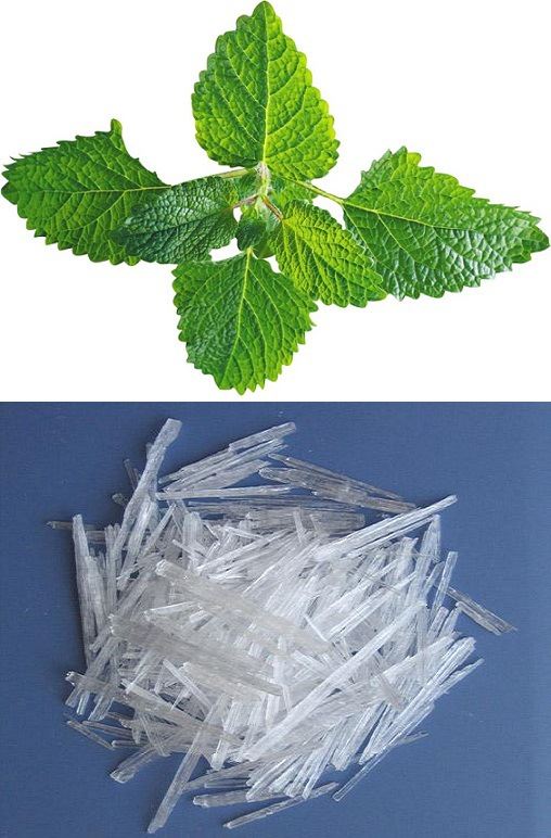 menthol